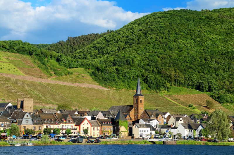 2 FLEUVES : la vallée du Rhin romantique et la magie de la Moselle