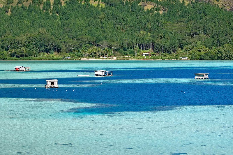 Polynésie secrète : Tuamotu inédites, îles Gambier et îles Australes