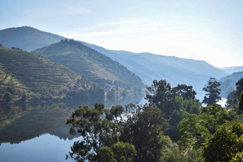 Croisière et randonnées dans la vallée du Douro, une nature préservée (formule port/port)