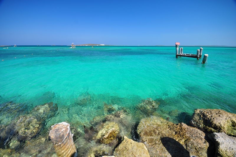 HM 5 NIGHT BAHAMAS & PERFECT DAY CRUISE