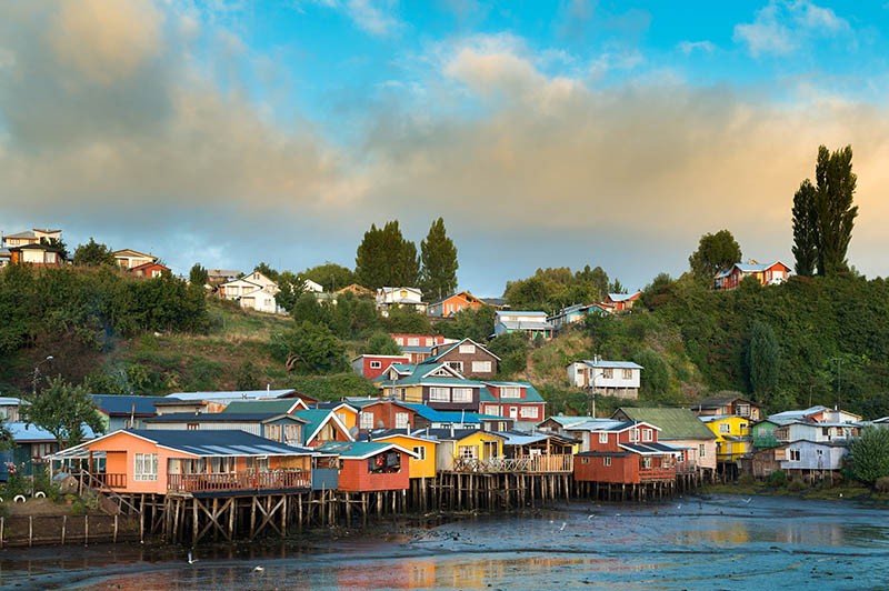 L'essentiel des fjords chiliens