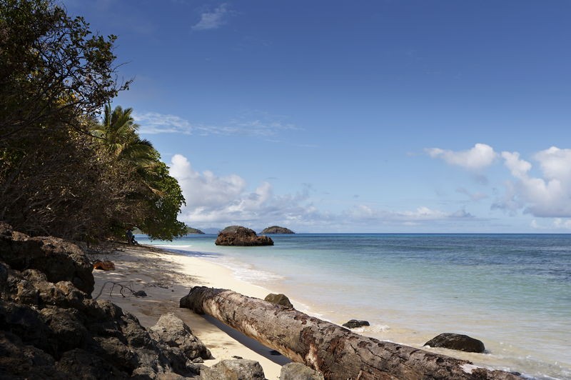 South Pacific (LTK/PPT)