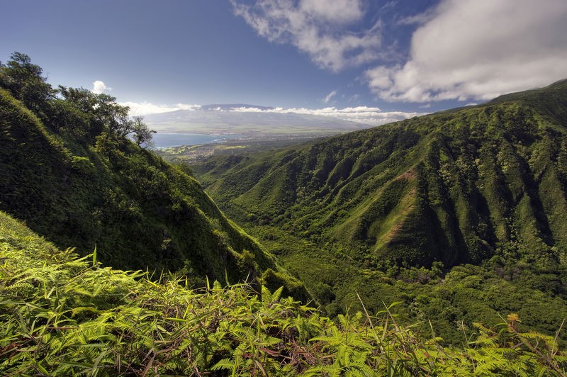 Hawaii HNL Inter Island (HNL/HNL)
