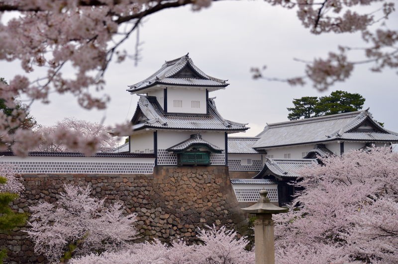 Japon, Corée du Sud