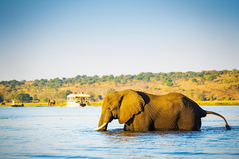 Safari-croisière au fil du Zambèze - Afrique du Sud, Botswana, Namibie, Zimbabwe (formule port/port)