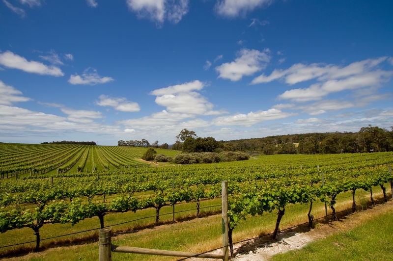 Southern Australia Explorer