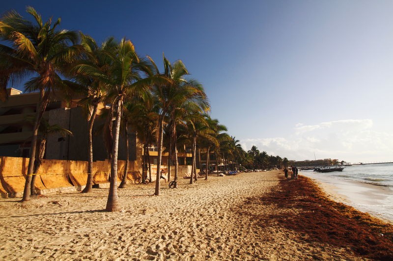 Mexican Riviera