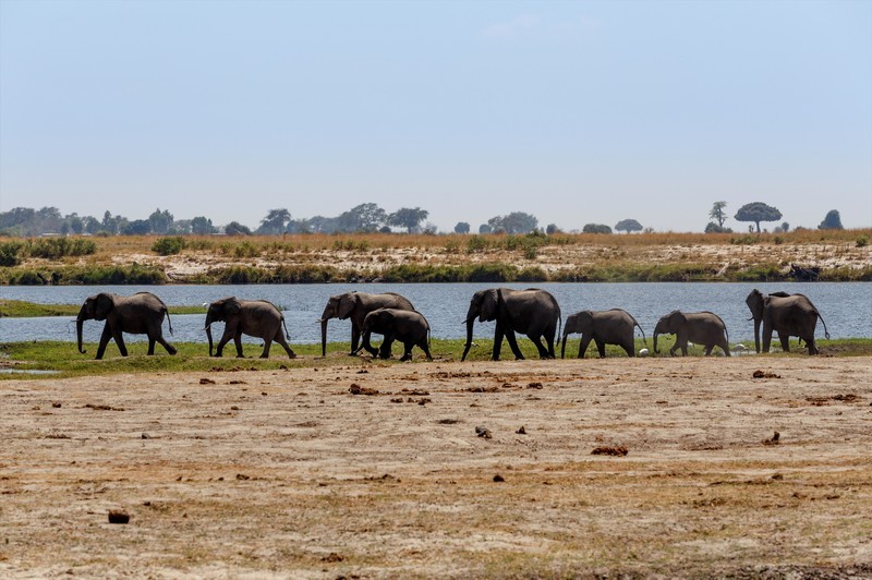 Safari-croisière au fil du Zambèze - Afrique du Sud, Botswana, Namibie, Zimbabwe (formule port/port)