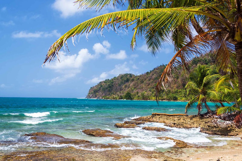 De la beauté sauvage du Panama aux rivages péruviens