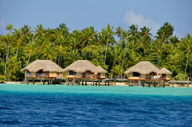 ILES AUSTRALES - 2026 - EUR