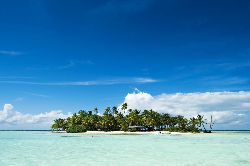 Îles de la Société et Tuamotu