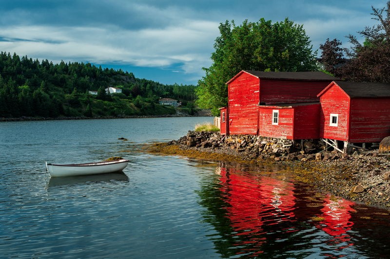 Des côtes sauvages du Groenland à la côte est du Canada