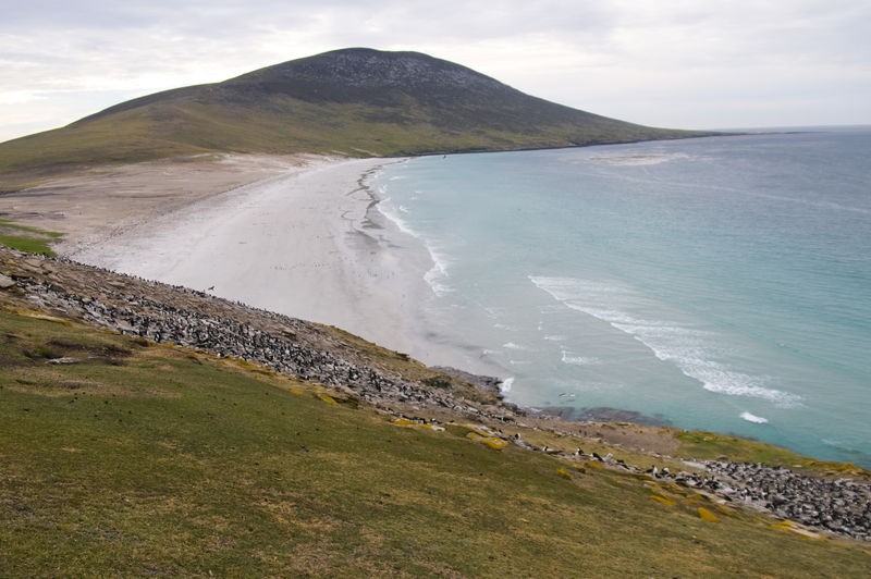 La grande boucle australe