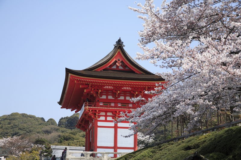 ASIA - JAPAN (INC/TOK)