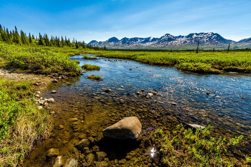 Alaska - Seattle (SEA/SEA)