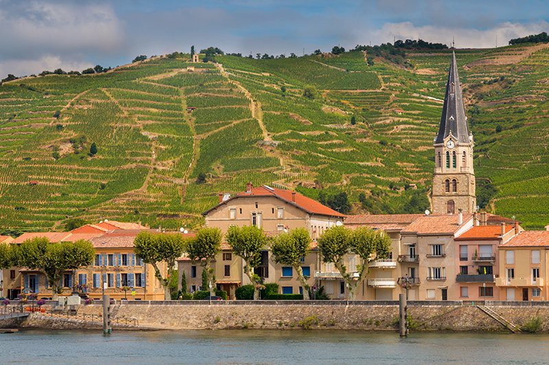 À la découverte du fabuleux monde de la vigne et du vin, terroirs d'exception du Rhône et de la Saône (formule port/port)