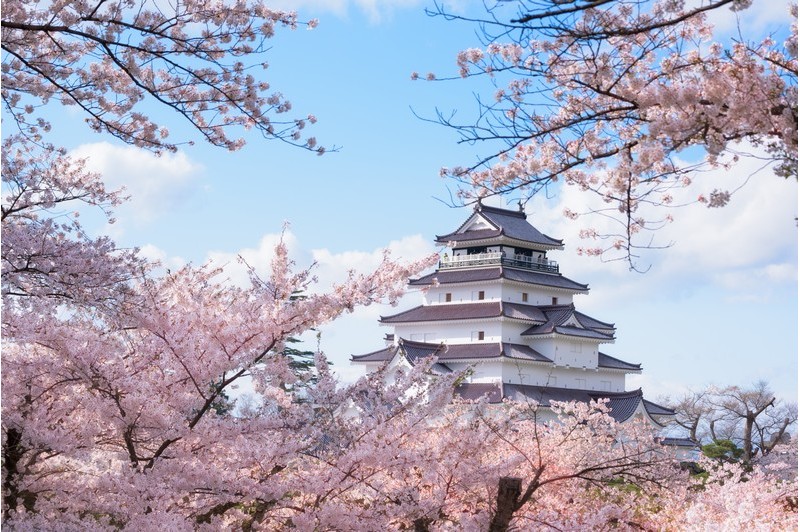 Circle Japan